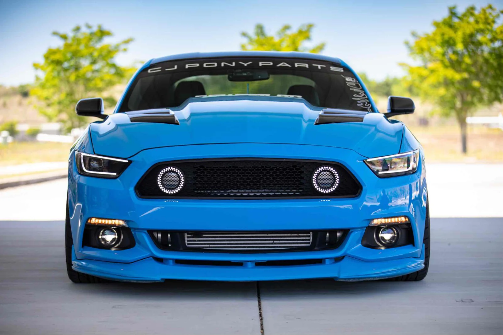 Morimoto Profile XB LED Turns Ford Mustang (15-17, Smoked Lens, Set) - Image 9