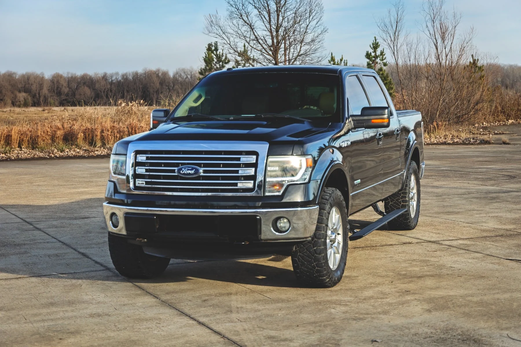 Rough Country Power Running Boards | Crew Cab | for Ford F-150 (2009-2014) ESR71529 - Image 6